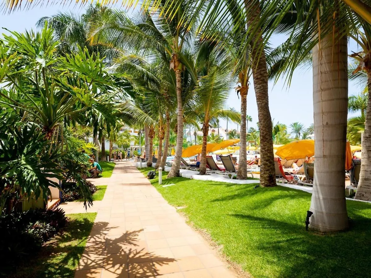 4008 Great Location In Las Americas, Sea Front! Playa de las Americas  Apartment Playa de las Americas (Tenerife)